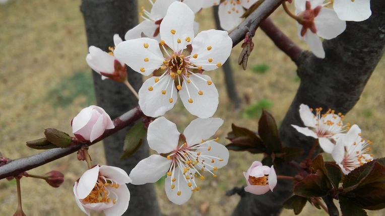 25749A48570231530F7C83