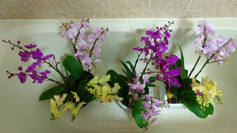 99EBBD3B5A8AA0DB0CA8F9