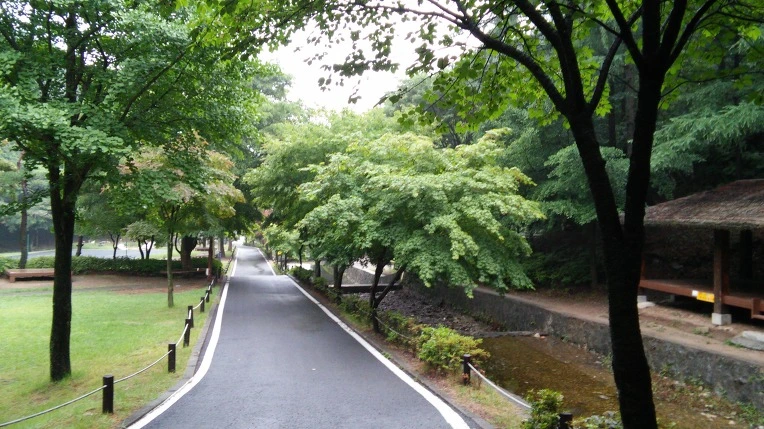 226FFA41569A24B0370D22