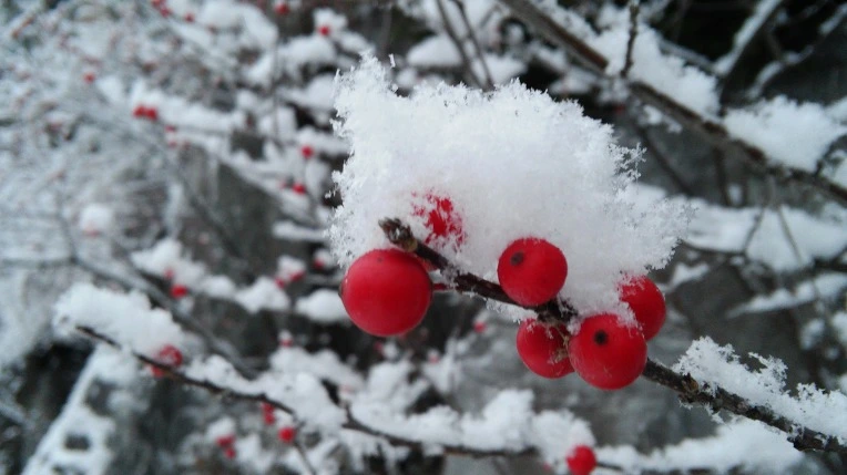 257799335878ACAD2C54E4