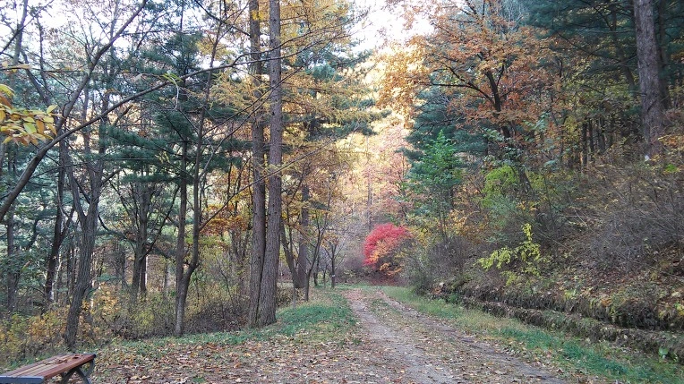 277CA835564314E20F9183