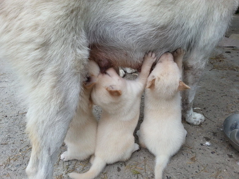 274E4F3751D9F4CD2BEAC5