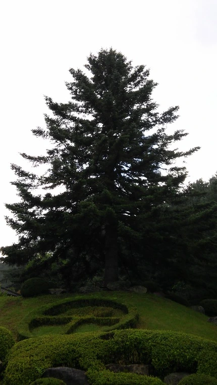 997CD133599E1C42180B3D