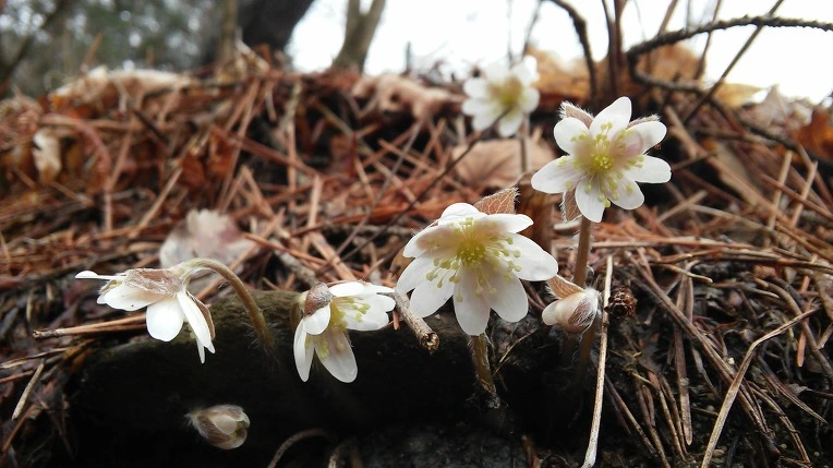 254EEA3B58E5DE35278BAA