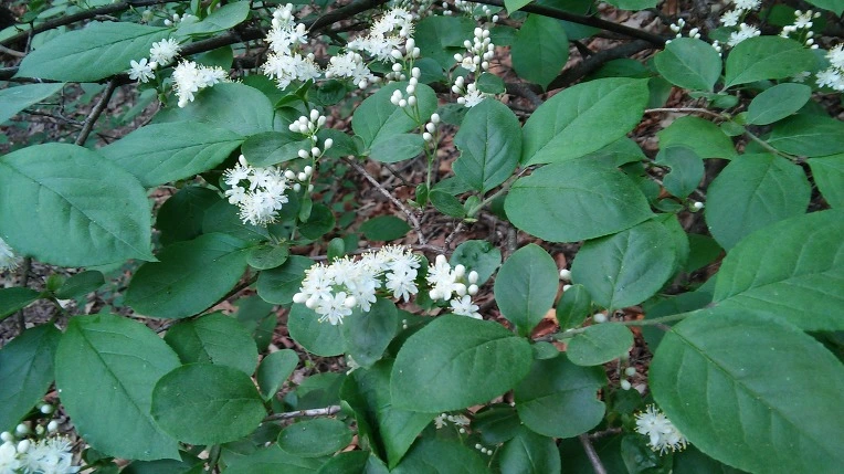 274F744A5722BCDF189793