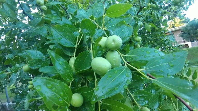 99D616385B61199B2321E9