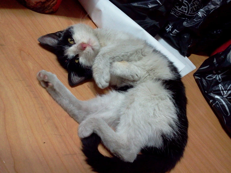 1712D6475142A5230F7B1A