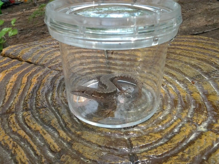 03236D415191E07F2DF5FA