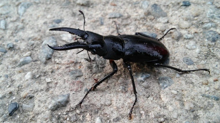 254E563E57A19EC007883B