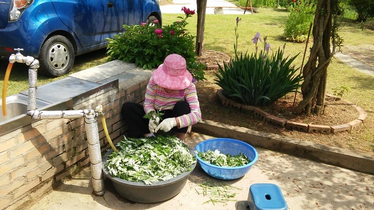 222A543B573A5AA23B4D6B