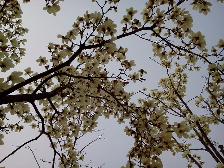 202735374DA5EE450A5963