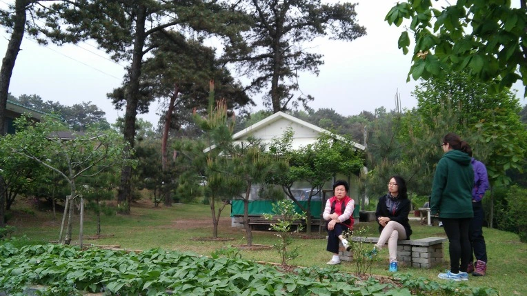 236E133B572E66E5140DEA