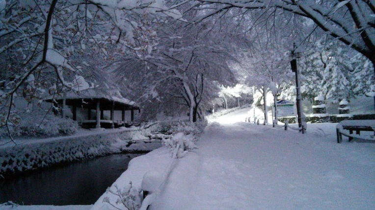 2742F43F5660090B05DE0B