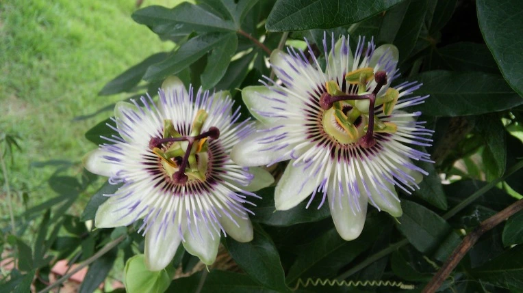 220A214257AA8BAD013CD8