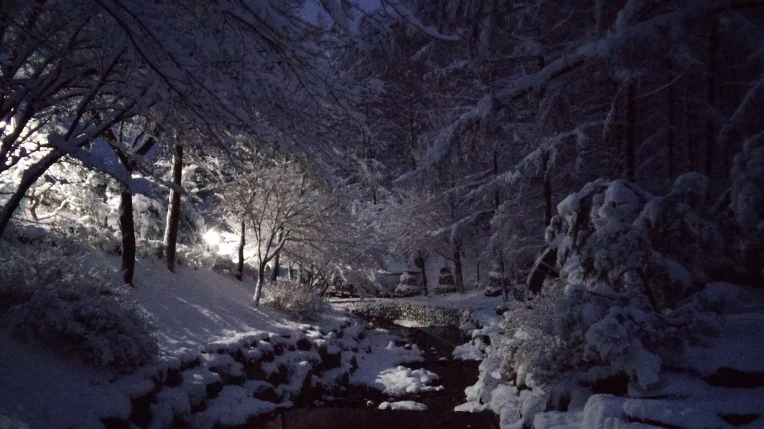 2301BF38568CF949213FDC