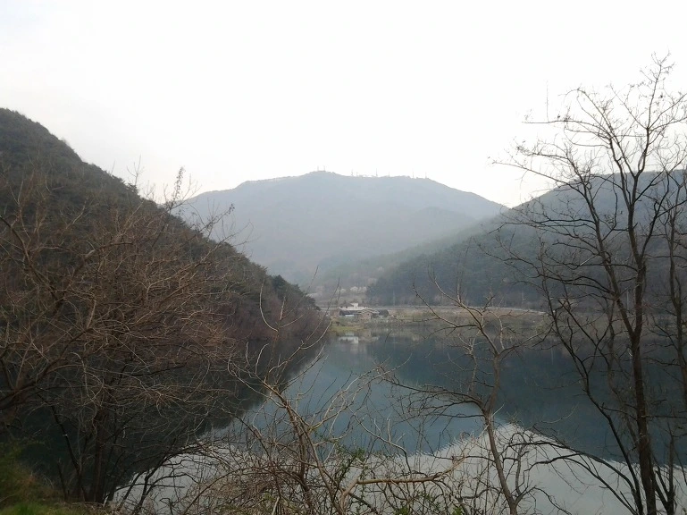 142A1943517738952C1ED2