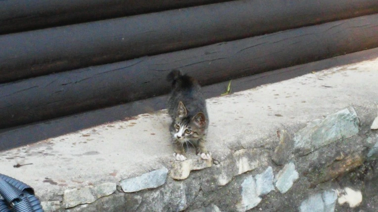 2158763455FB6DDD2C905B