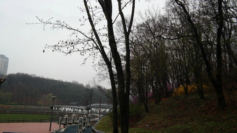 22119C5057059CDE26B03D