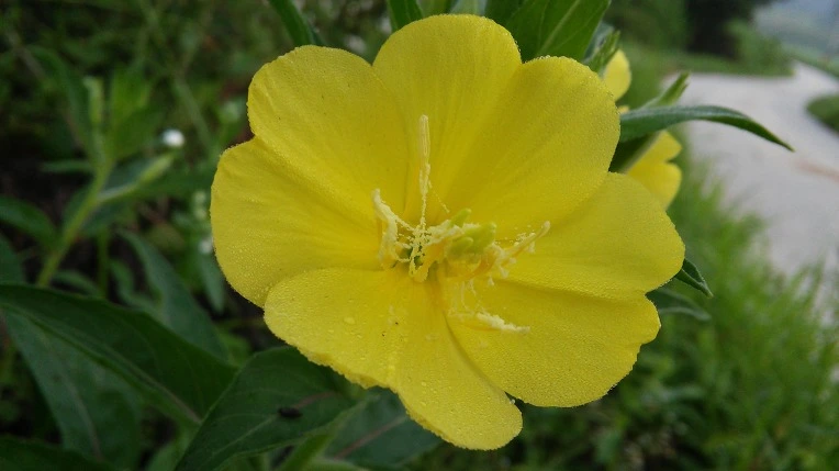 231D474D57982E6A24E48D