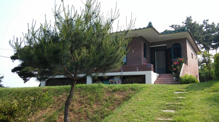 223C233B576496881632F6