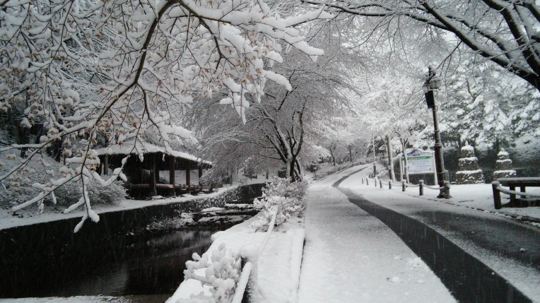 p4AcAxgk_AVQWj7zS1g8Ubx3uTM