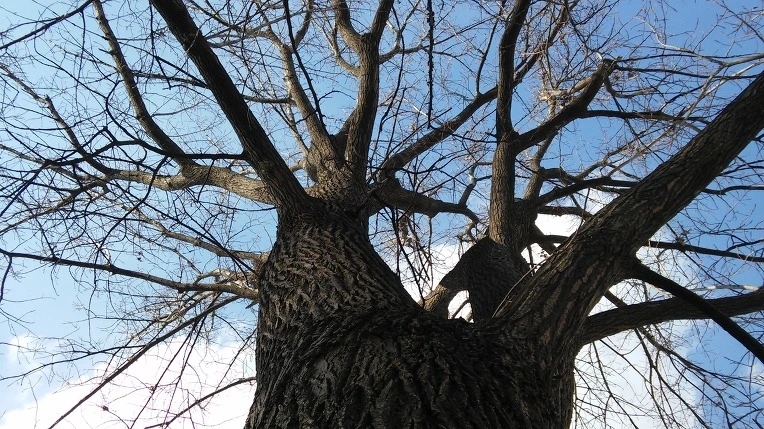 2265D34D5878B24C2CCF18