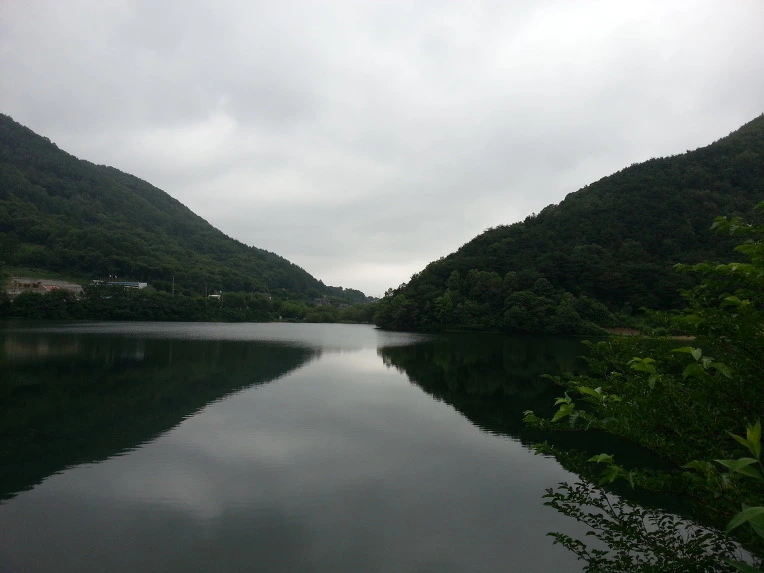 240DEF4D56946D29133437