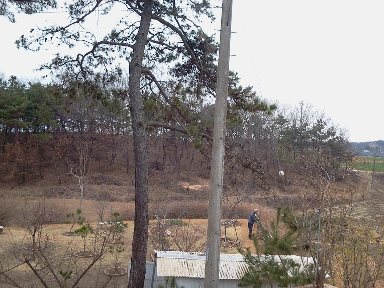 142F743C51578B8522E79C