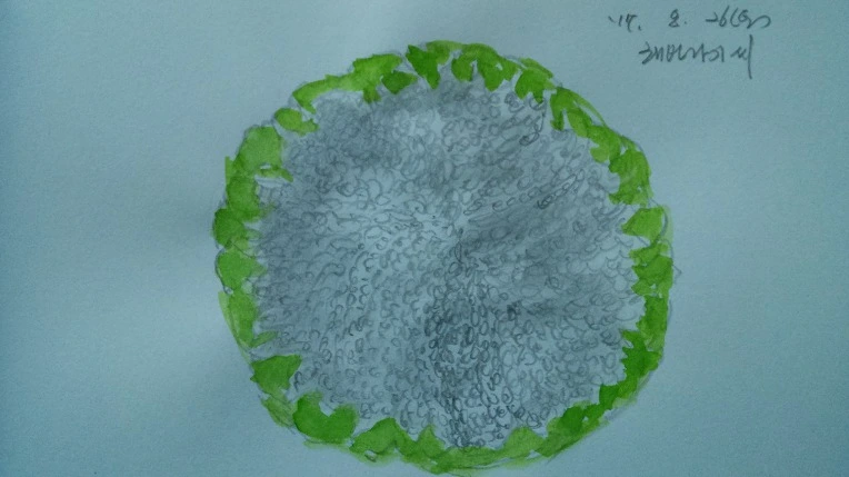 997A833359A1F64C183471