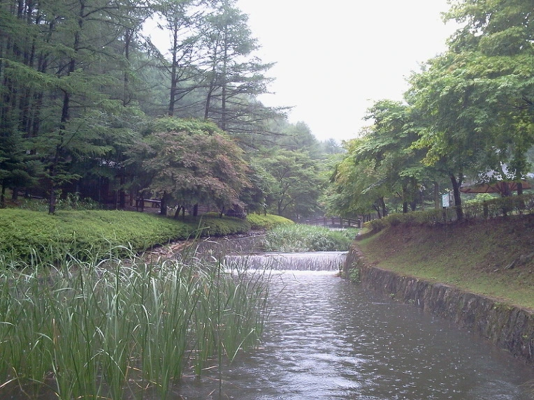 253DCE48547F927E266D6A