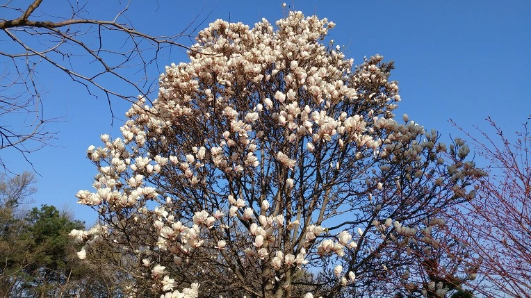 99059B485CF612EB2BB2E1