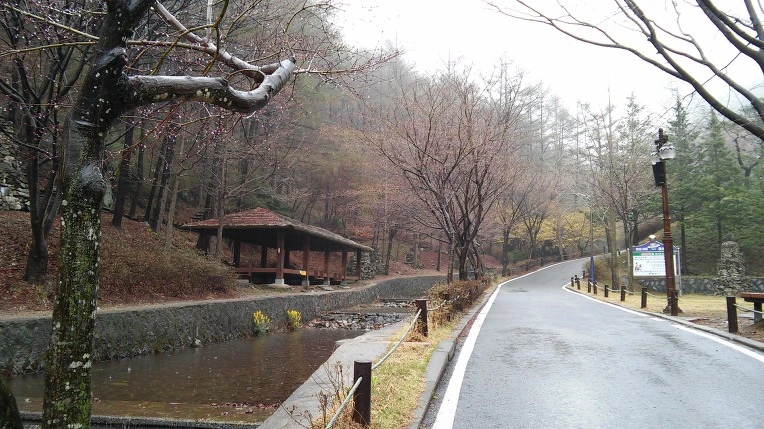 275E6237569327B8228254