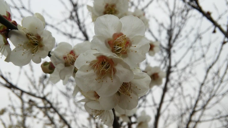 22579A48570231562D143C