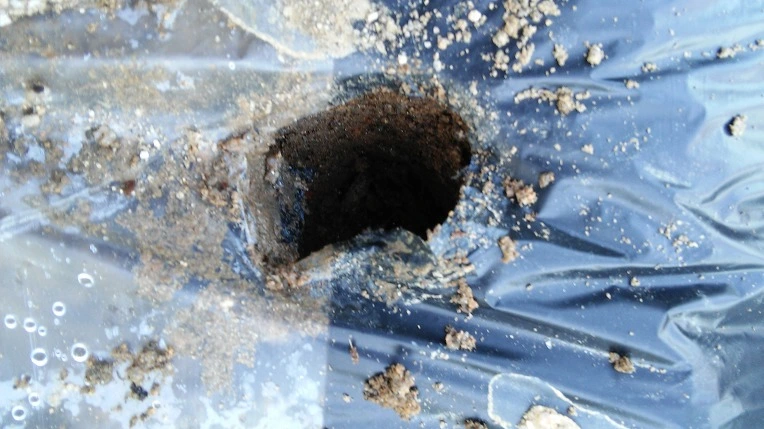 2520FE3E57C0EEA81681E8