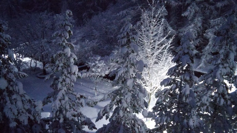 2770BD3E56600914157B7E