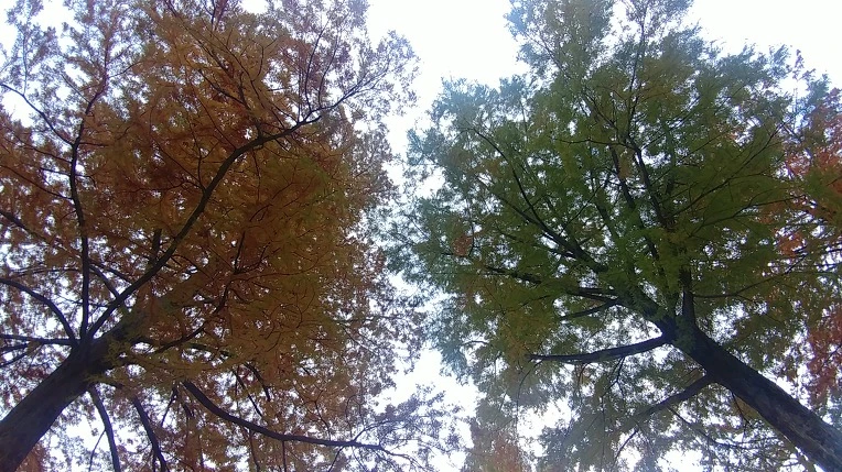 999CAC405BD6AD44313BDE