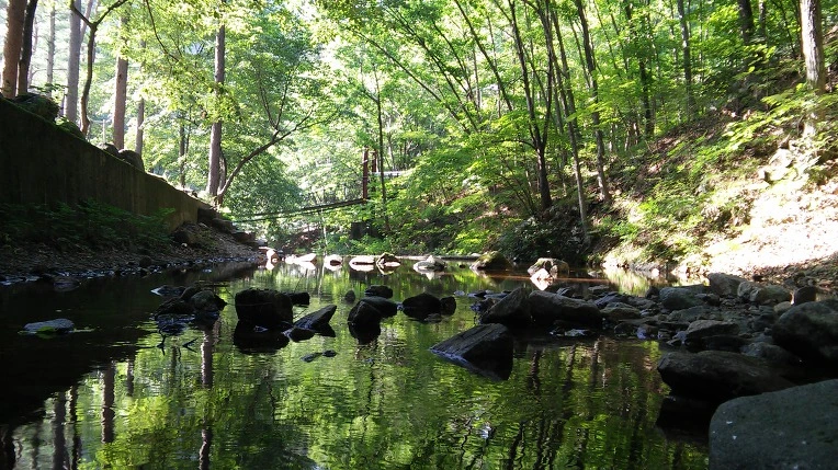 2248733359693F151CED54