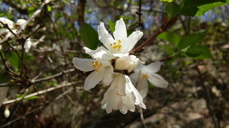 235BF04458F7DFED17E95D