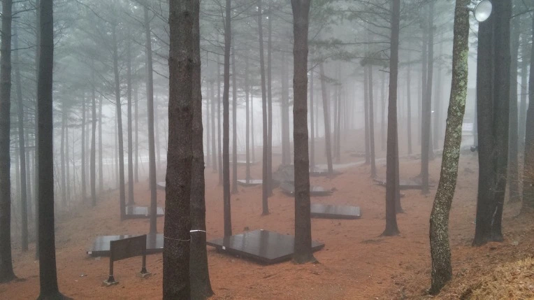 2218C84856DA7C3D233658