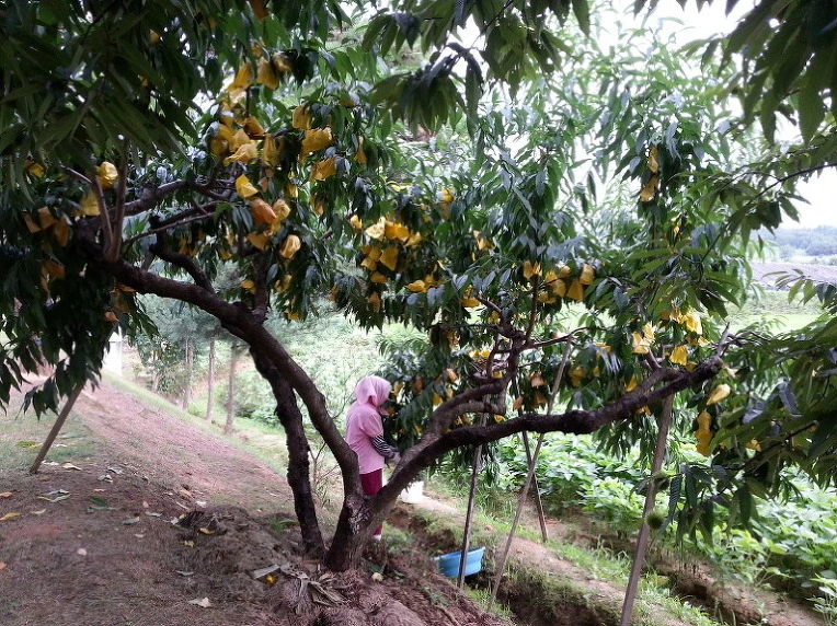 2566724E57D0FCF51D1FEC