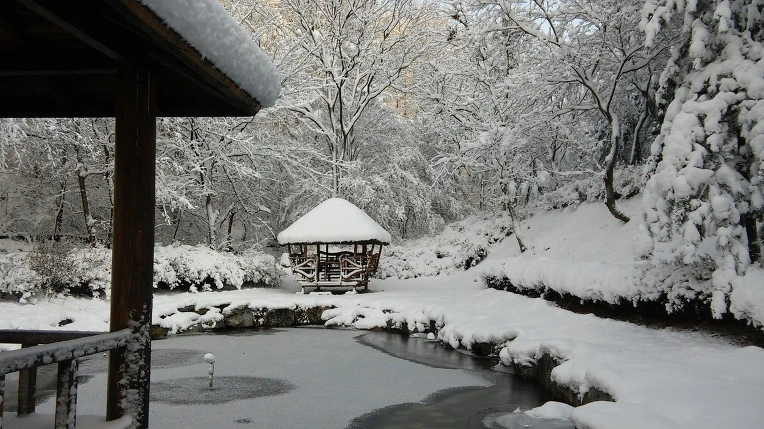 246CA73E566120D1122EFC