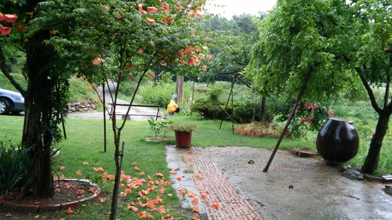 2626BE41577706F12309F0