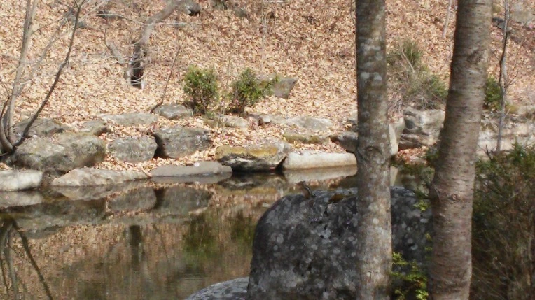 271BA34F58DC9A902FF0D6