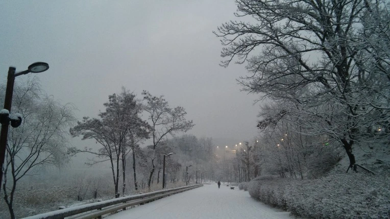 211376375878AC971D7458