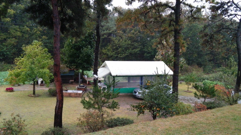 211898345445C3D52E7745