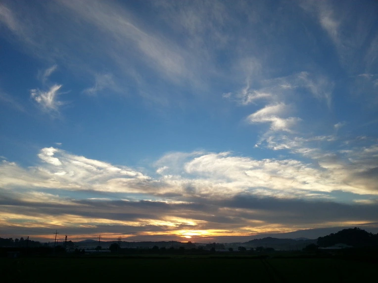 2644183A51EB4E5A014A95