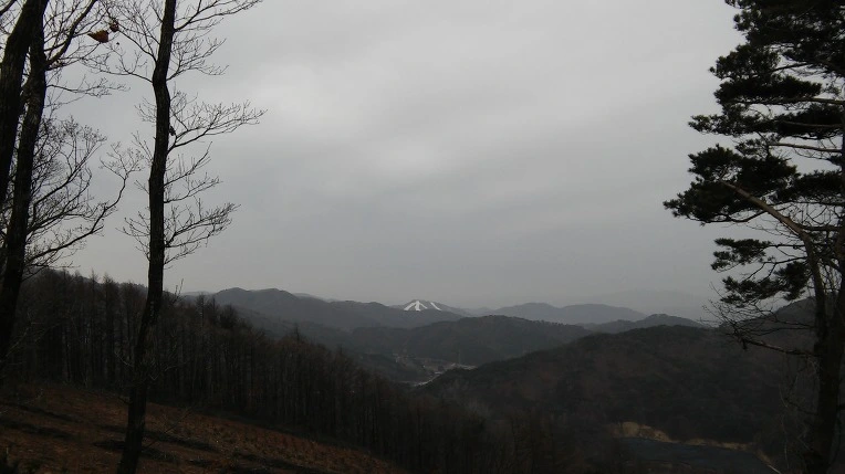 21440F3B56E0B41F25AF93