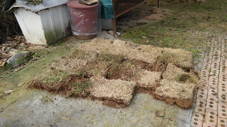 244BE434582A345A11D72F