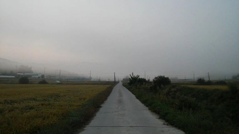 2133C23857E4681A340FCE