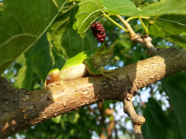 21676A4E56B0266E2F2A74